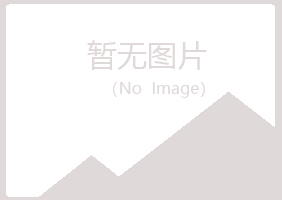 上海紫山化学有限公司